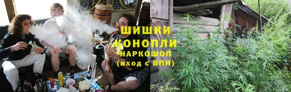 ГАЛЛЮЦИНОГЕННЫЕ ГРИБЫ Алзамай