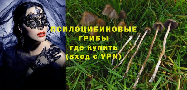 ALPHA-PVP Алексин