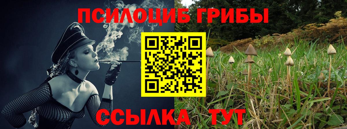 Люберцы  Псилоцибиновые грибы Cubensis  Вход с VPN 